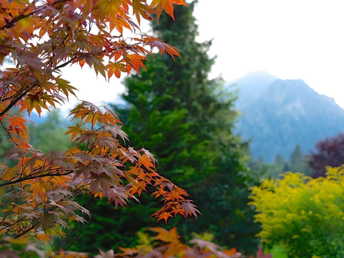 Hubertus Apartments Schliersee Εξωτερικό φωτογραφία